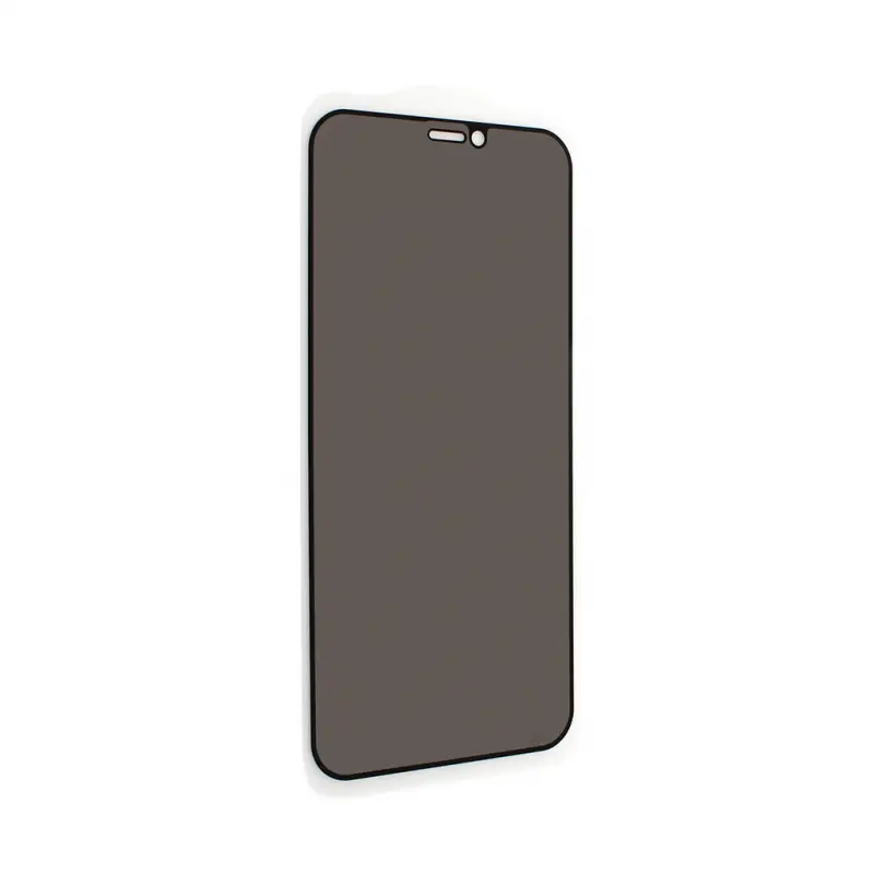 Zastitno Staklo Tempered Glass Privacy 2.5d Full Glue za Iphone 12 Mini 5.4 Crna
