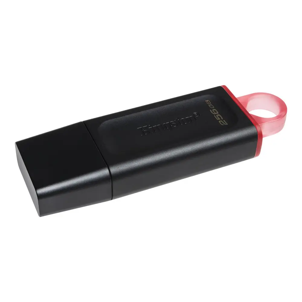 Kingston Data Traveler Exodia Onyx DTX USB Flash Memorija 256GB 3.2 Crna
