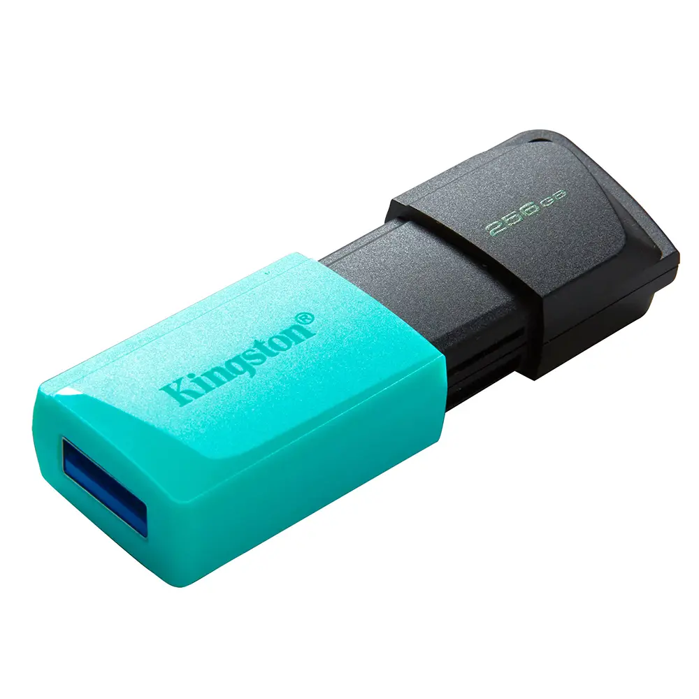 Kingston Data Traveler Exodia Onyx DTXM USB Flash Memorija 256GB 3.2 Crna